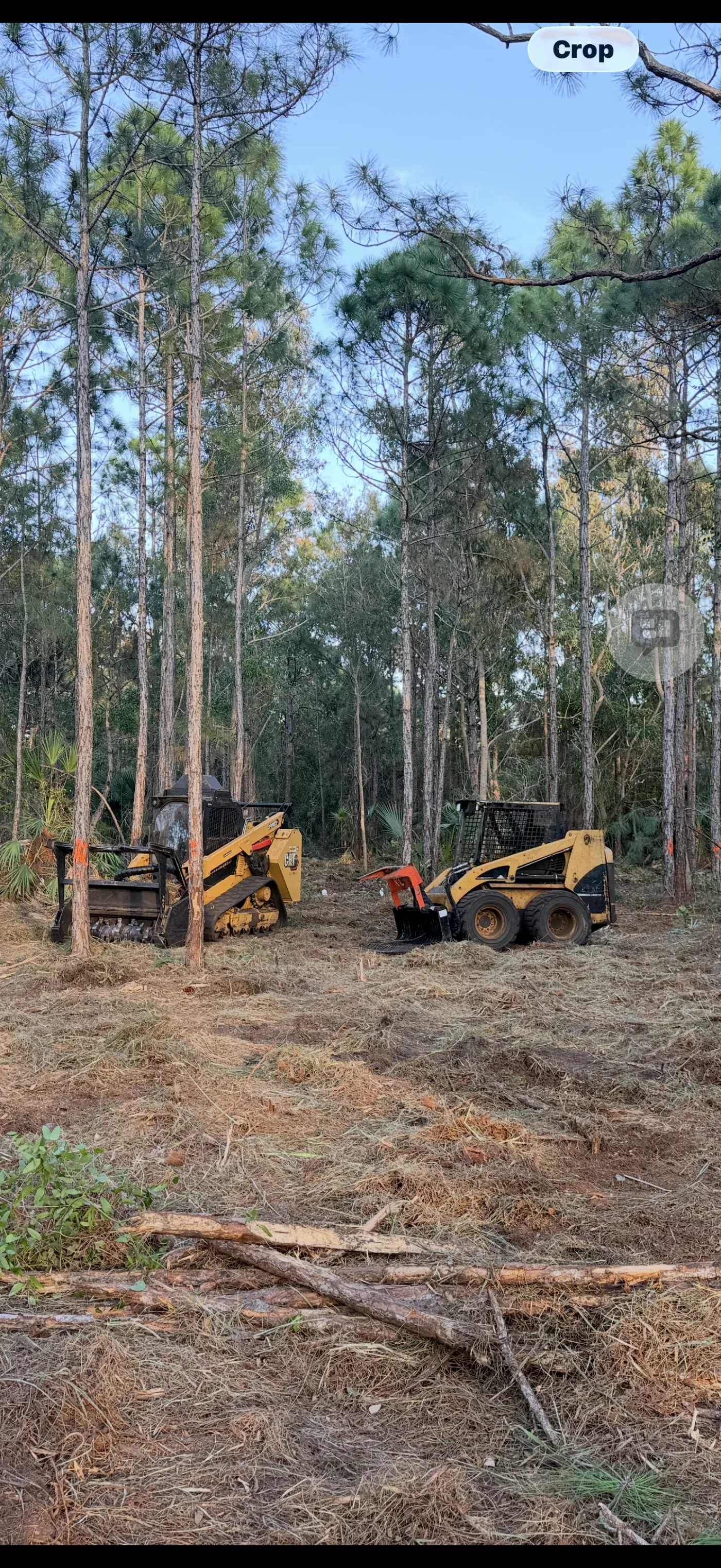 Forestry mulching and land clearing in Sebastian, FL