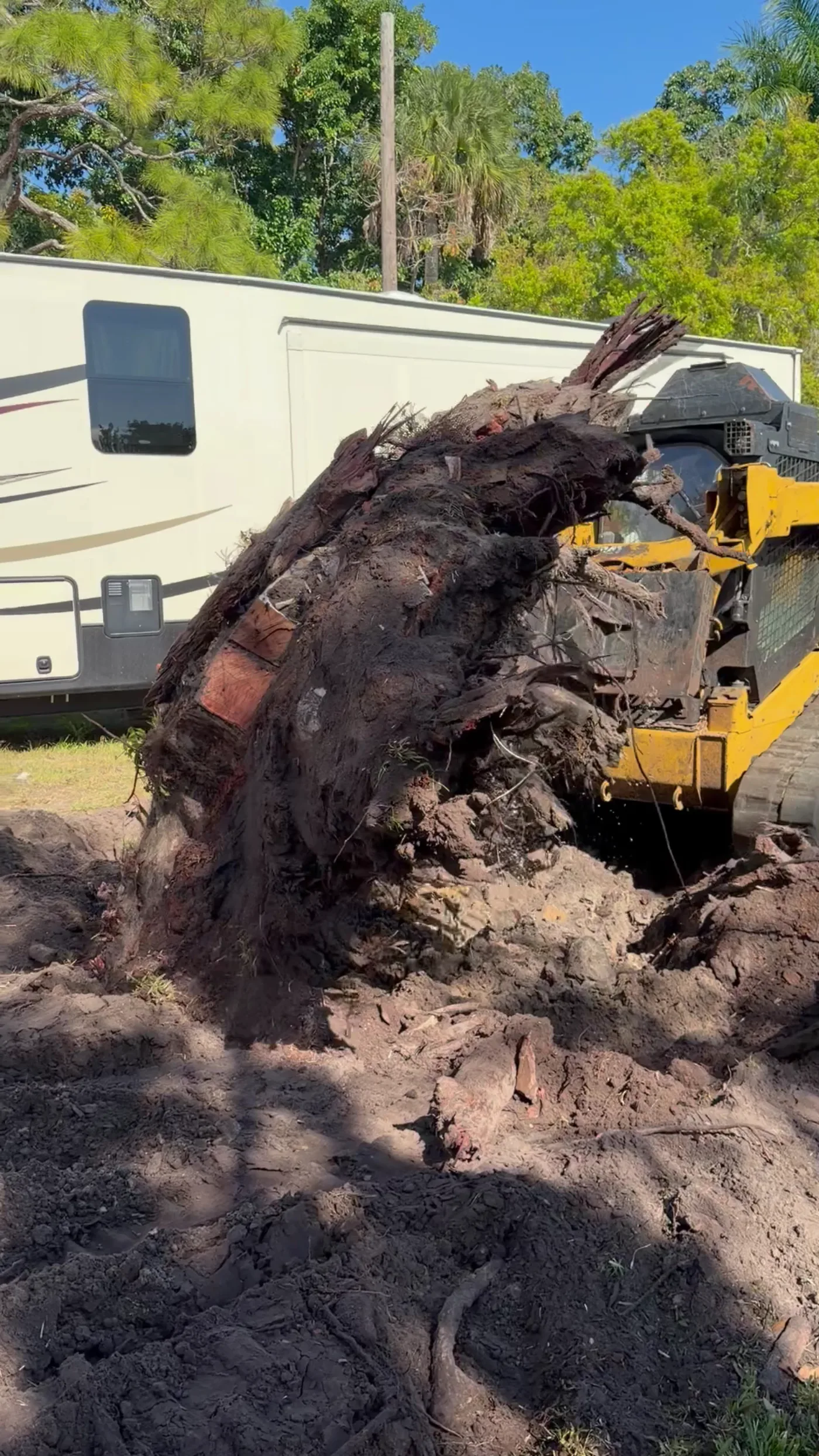 Stump Removal in Fort Pierce, FL