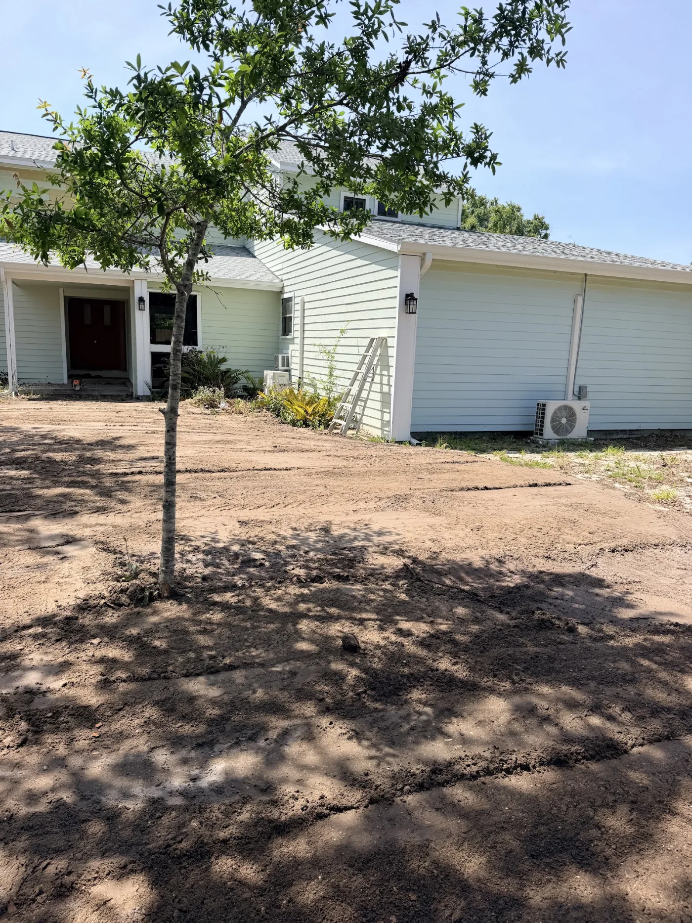 Cleared yard corner finished clean around the palms